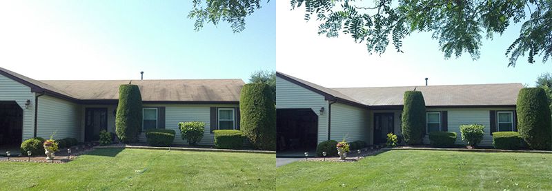 Roof Cleaning