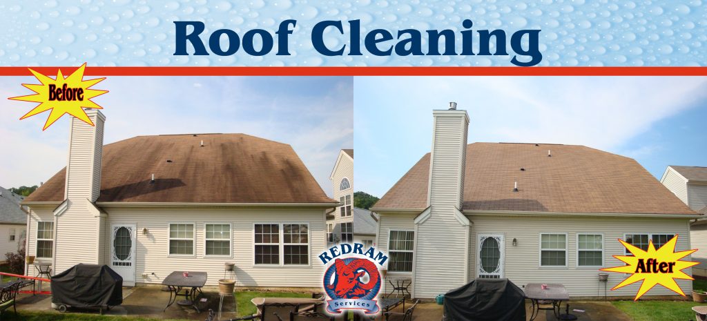 Gallery Pic 19 Roof copy Roof Cleaning Before and After