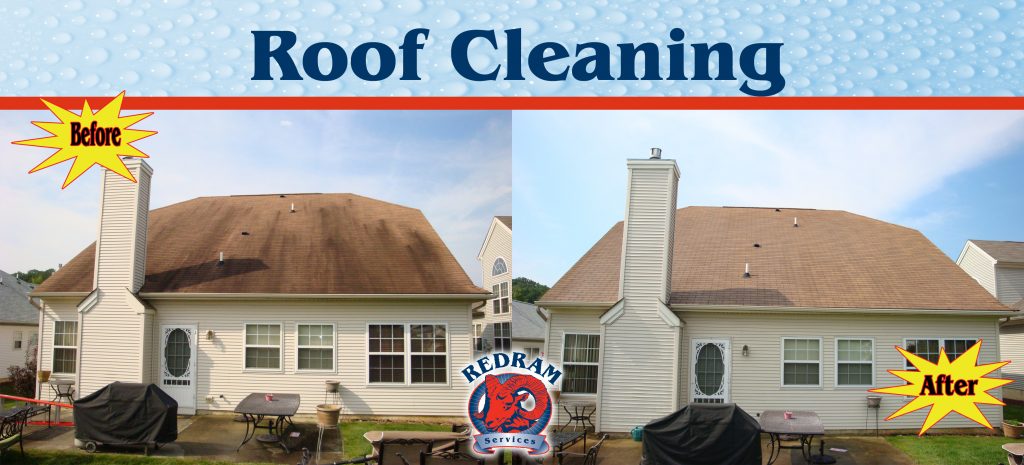 Roof Cleaning Before and After